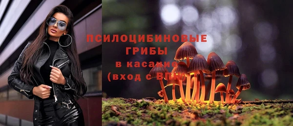 ПСИЛОЦИБИНОВЫЕ ГРИБЫ Нефтегорск