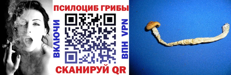 Псилоцибиновые грибы мухоморы  где купить наркоту  Великий Новгород 