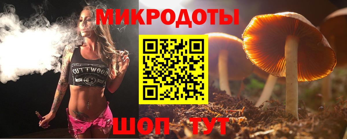 Великий Новгород  где купить наркоту  Вход с VPN  Галлюциногенные грибы мицелий 